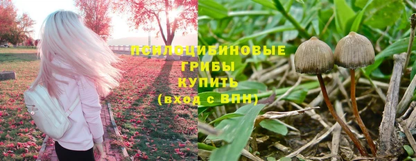 метадон Армянск