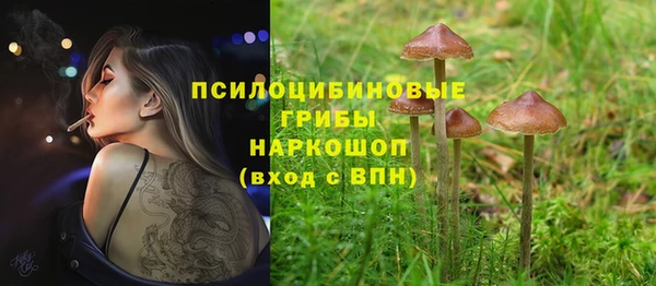 MESCALINE Баксан