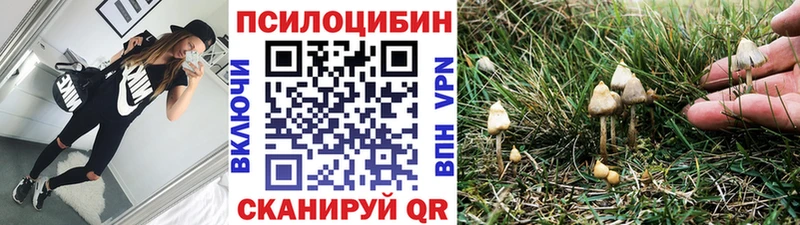 закладки  Новокубанск  Псилоцибиновые грибы мицелий 